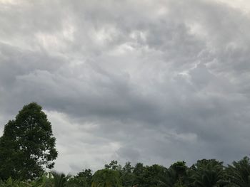 Low angle view of trees against cloudy sky