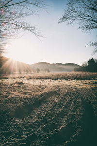 Scenic view of field against bright sun