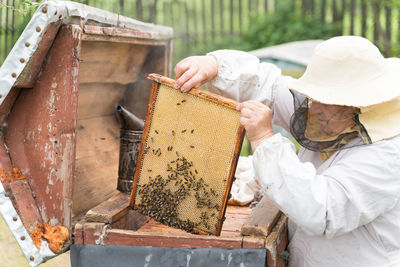 Beekeeper holding up tray of honeycomb at park