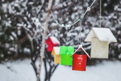 Close-up of birdhouse hanging on tree in snow