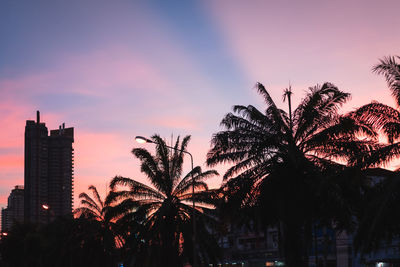 Silhouette palm trees against sky during sunset