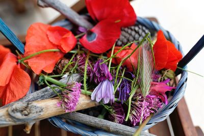 High angle view of multi colored flowering plants in basket