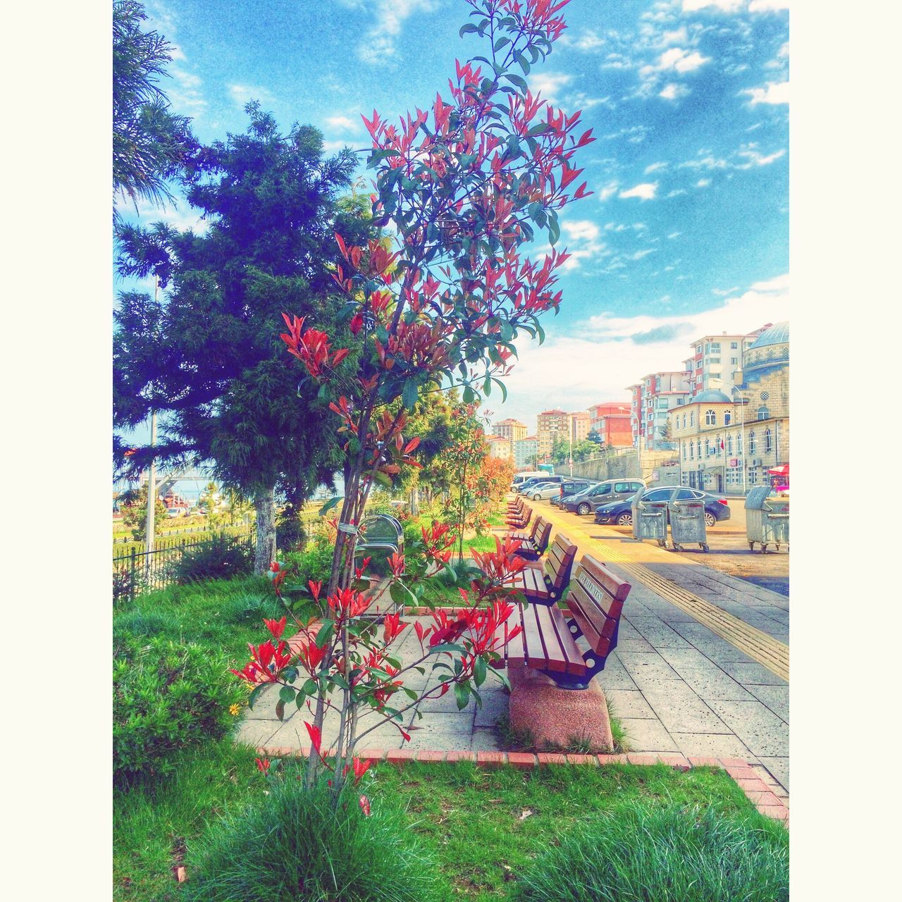 transfer print, tree, sky, auto post production filter, building exterior, built structure, cloud - sky, architecture, street, cloud, growth, car, road, house, transportation, city, outdoors, day, nature, cloudy