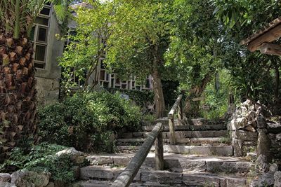 Staircase by trees and building in forest