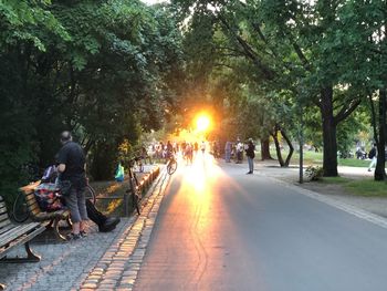 People sitting on road amidst trees in city