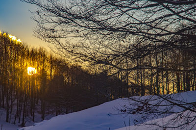 Bare trees against sky during winter