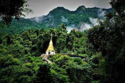 View of pagoda against trees in forest