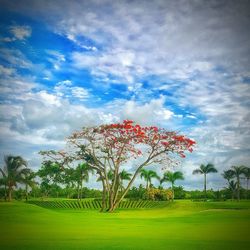 Scenic view of grassy field against cloudy sky