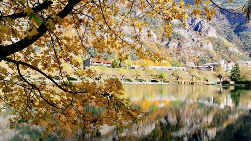 Scenic view of lake by trees during autumn