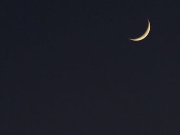 Low angle view of moon in sky