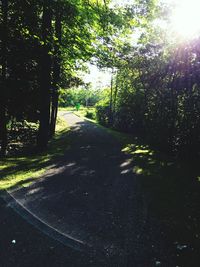 Sun shining through trees