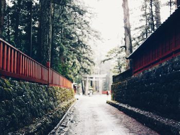 Empty street amidst trees and buildings against sky