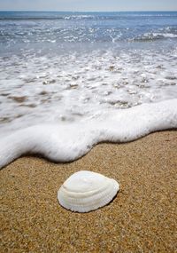 Scenic view of beach