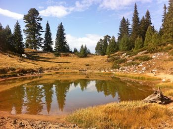 Scenic view of lake by trees against sky