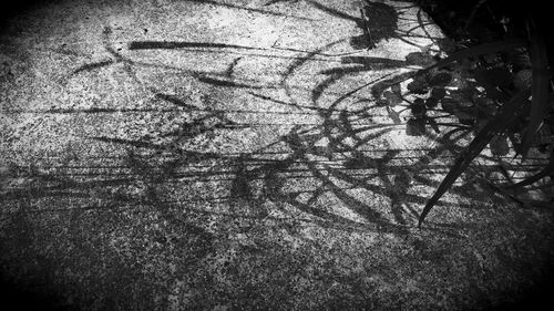 Close-up of bicycle
