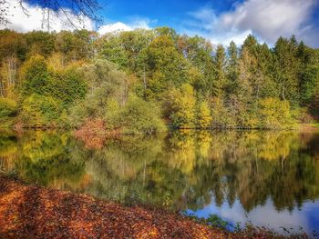 Scenic view of lake in forest against sky