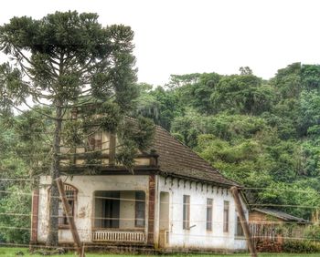 Building with trees in background