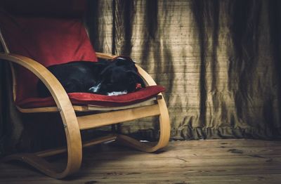 Dog sleeping on chair at home