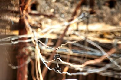 Close-up of electrical wires with a blur background