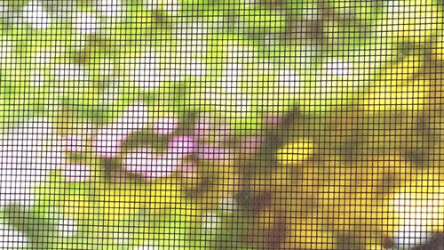 Full frame shot of chainlink fence