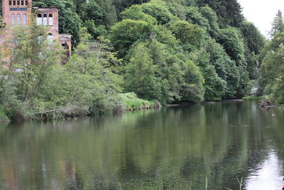 Scenic view of lake by trees