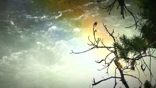 Low angle view of bare trees against cloudy sky