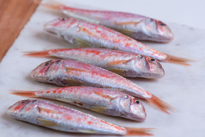 High angle view of fish in container