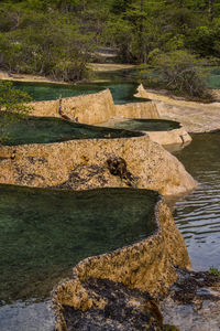 High angle view of rocks by lake in forest