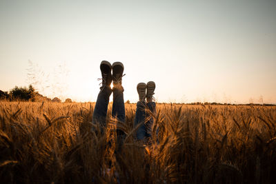 Hay bales on field against sky during sunset