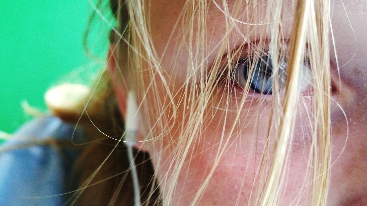 close-up, focus on foreground, human hair, leisure activity, lifestyles, fragility, headshot, day, person, indoors, part of, sunlight, animal themes, spider web, selective focus, long hair, one animal