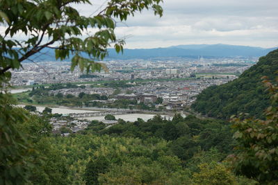Trees and cityscape against sky
