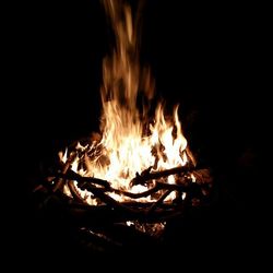 Close-up of bonfire at night