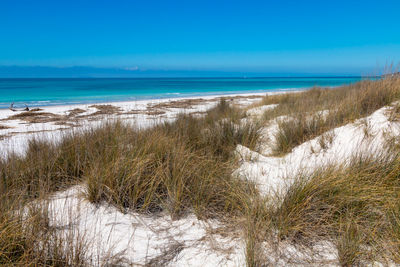 Mediterranean scrub on the dunes of a paradisiacal white beach