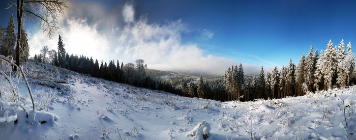 Scenic view of snow covered landscape