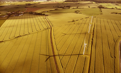 Aerial view of agricultural landscape