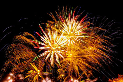 Low angle view of firework display at night