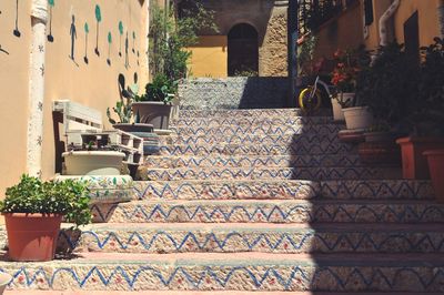 Potted plants on staircase outside building