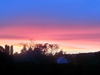 Silhouette trees at sunset