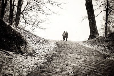 Rear view of people walking on footpath amidst bare trees