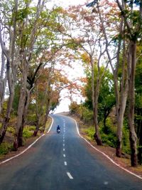 Road amidst trees against sky