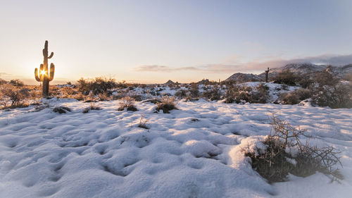 Snow covered field against sky during sunset