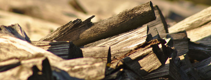 Close-up of stacked wood
