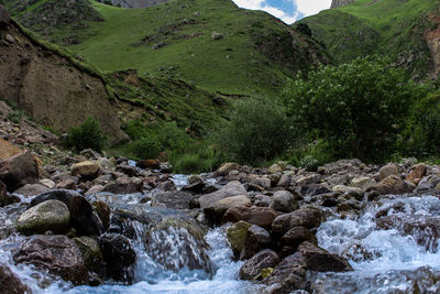 Scenic view of river flowing through rocks in forest