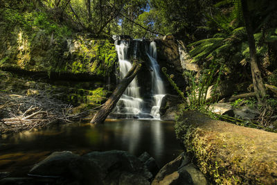 Water flowing through rocks in forest