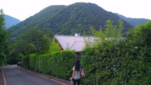 Rear view of woman on road against tree mountain