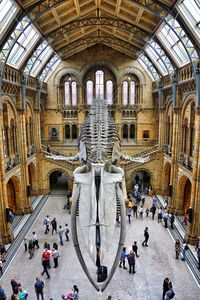 Tourists in museum