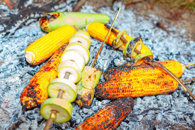 Picnic with vegetables . campfire with vegan eating