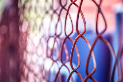 Fence / depth of field.