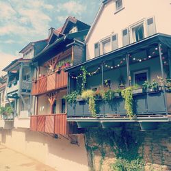 Potted plants on balcony of building