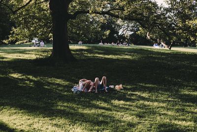 People relaxing on field in park